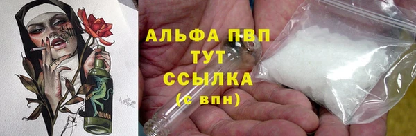 гашик Коряжма