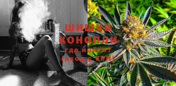 гашик Коряжма
