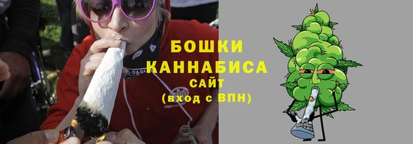 гашик Коряжма