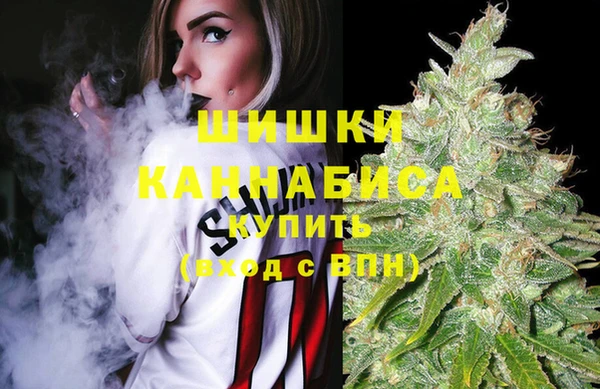 гашик Коряжма
