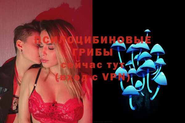 mdpv Корсаков