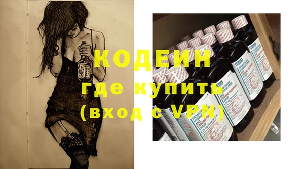 гашик Коряжма